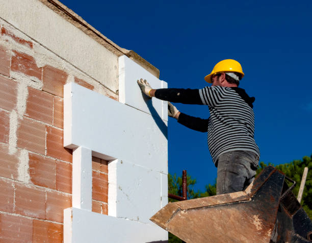 Best Professional Insulation Contractor  in Saline, MI