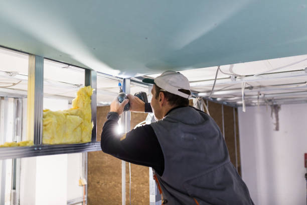 Best Home Insulation Services  in Saline, MI