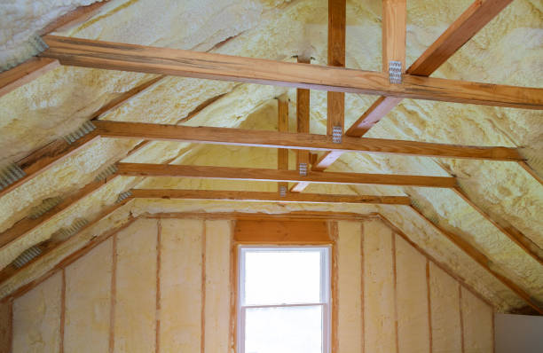 Best Crawl Space Insulation  in Saline, MI