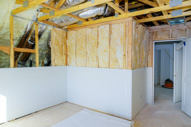 Best Insulation Removal  in Saline, MI