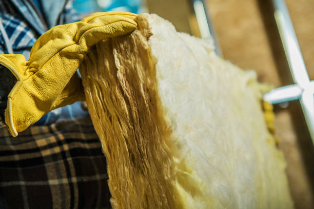 Best Insulation for New Construction  in Saline, MI
